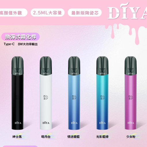 【A倉】DIYA 一代普通/皮革主機