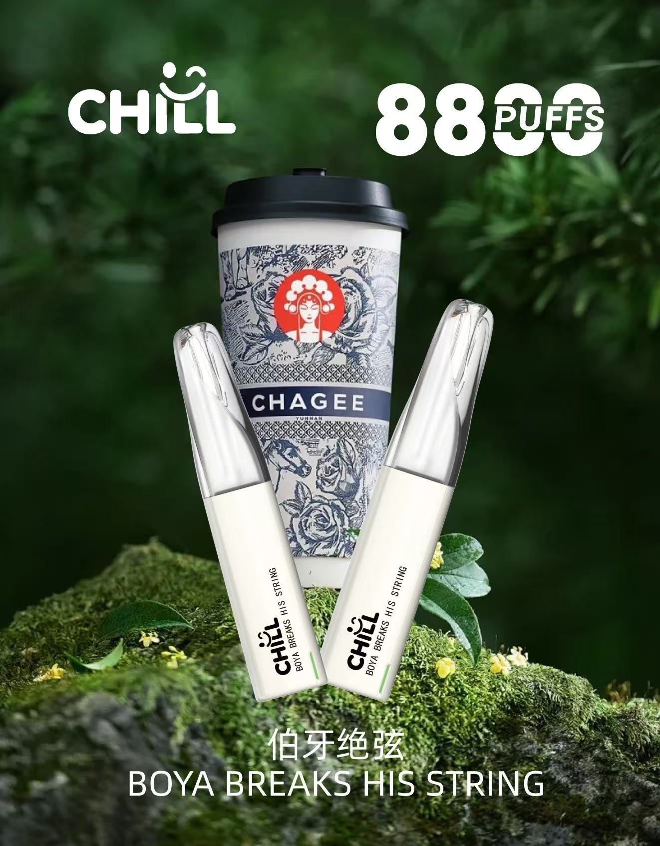 chIll始祖鳥8800口