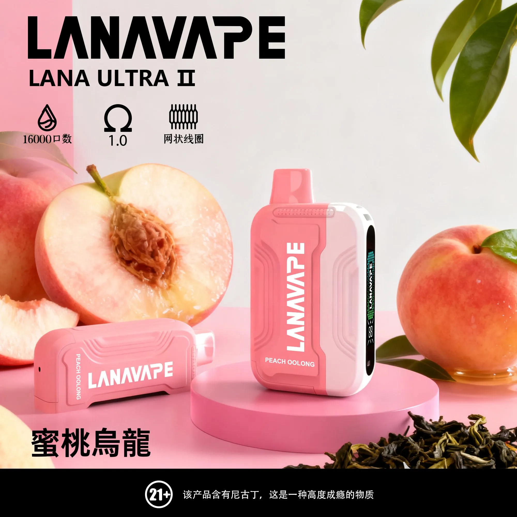 微信圖片_20251210131445